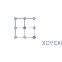 xovexo.xyz favicon
